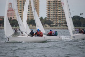 Picture 42