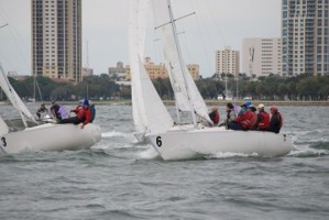 Picture 46