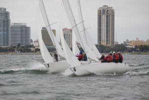 Picture 48