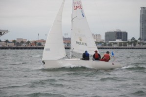 Picture 49