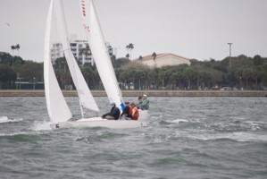 Picture 65