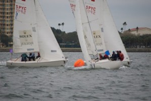 Picture 8