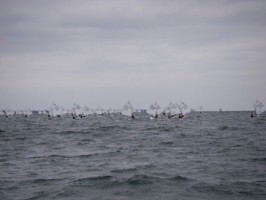 Picture 1