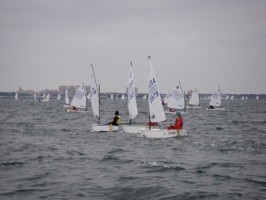 Picture 15