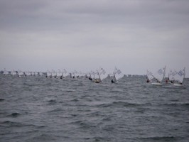 Picture 2