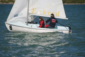 Picture 15