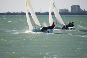 Picture 31