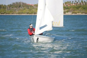 Picture 43