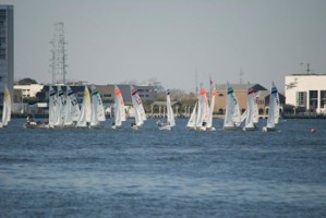 Picture 11