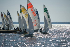Picture 17