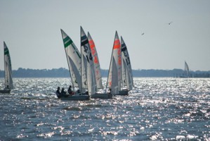 Picture 19