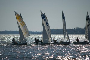 Picture 20