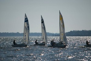 Picture 24