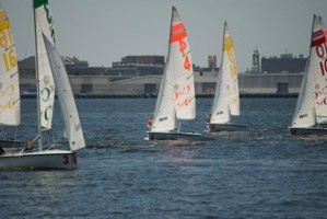 Picture 30