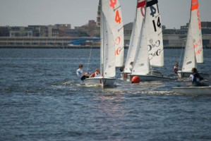 Picture 32