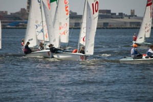 Picture 35