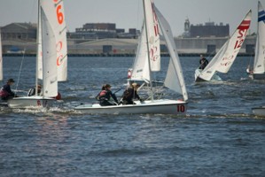 Picture 37