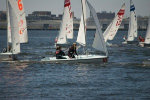Picture 38