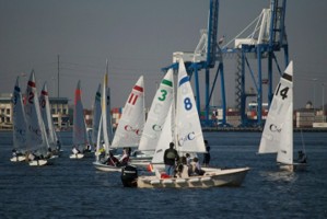 Picture 4