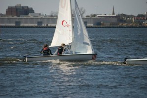 Picture 41