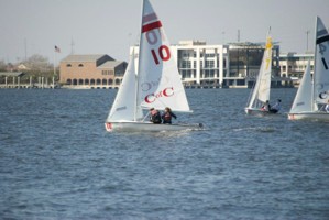 Picture 42