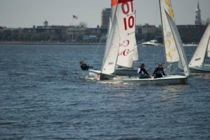 Picture 44