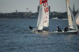 Picture 45