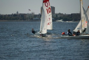 Picture 46