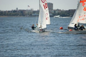 Picture 47