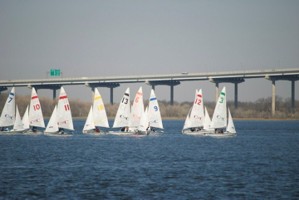 Picture 5