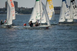 Picture 50