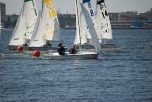 Picture 51