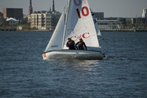 Picture 54
