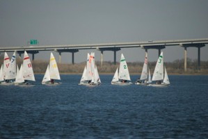 Picture 6