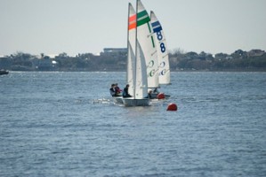 Picture 61