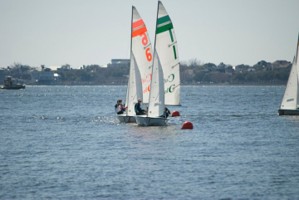 Picture 62