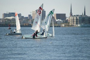 Picture 69