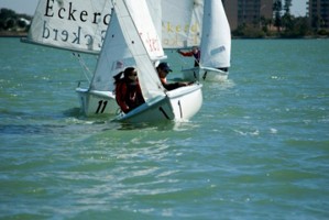 Picture 1