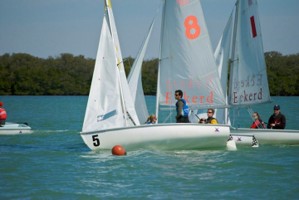 Picture 10