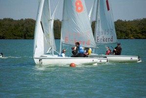 Picture 11
