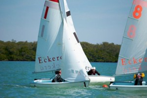 Picture 14