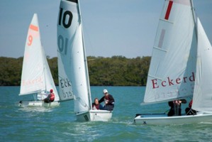 Picture 15