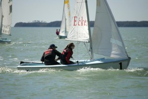 Picture 19