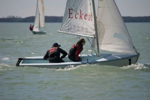 Picture 20