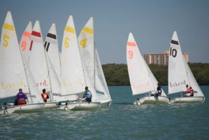 Picture 25