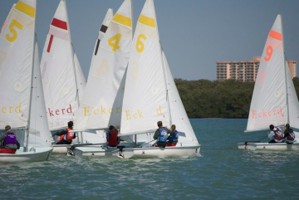 Picture 26