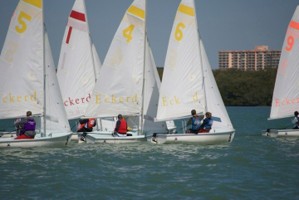 Picture 27