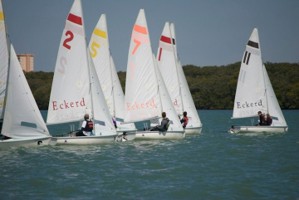 Picture 30