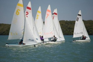 Picture 31