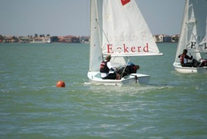 Picture 33